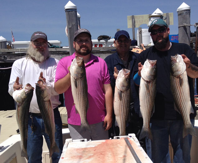 Spring Stripers