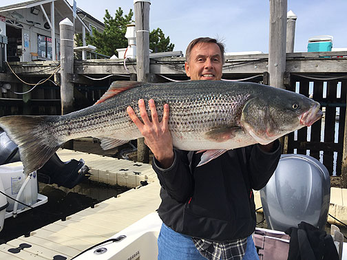 Late Fall Fishing Bonanza In Raritan Bay - On The Water